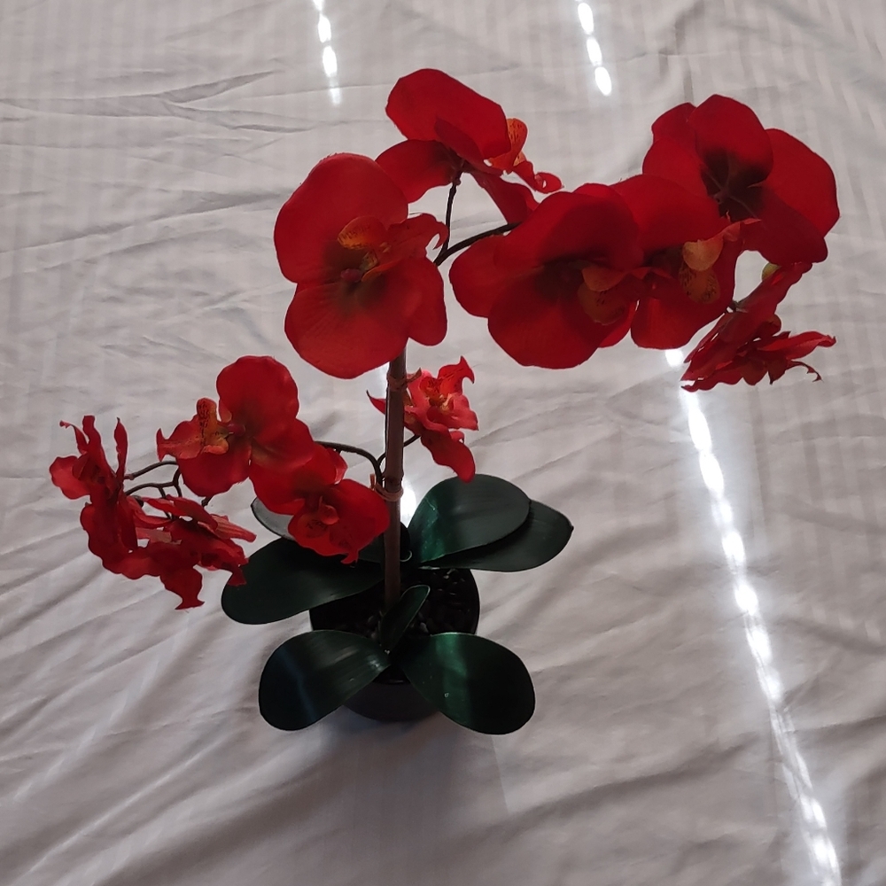 Artificial red/orange orchid🪷 arrangement